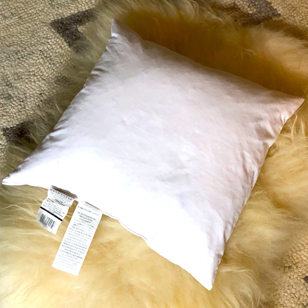 West Elm pillow insert